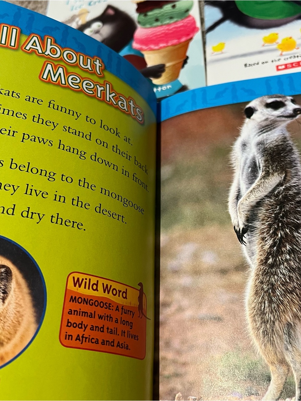 I can read Scholastic Kids Books Bundle Level 1 Splat the Cat Dairy of a Worm - Picture 9 of 12